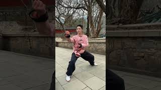 Tai Chi | 张三丰传世太极包含了太极拳的手法身法和步伐和眼法 #taichi #kungfu #taichiquan #功夫 #太极 #martialarts #wushu #taiji