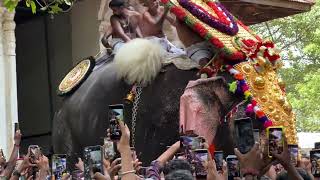 തൃശ്ശൂർപുരത്തിന്  പോയ. എന്റെ. അനുഭവം history  of trissur puuram /kerala festival