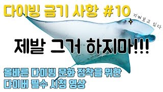 [DON’T] 다이빙 투어 금기 사항 10가지 – 올바른 다이빙 문화 정착의 주인공은 바로 너~!!!