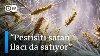 Gıda güvenliği (5): Sebze-meyvedeki fiyat artışında tek kullanımlık tohum etkisi - DW Türkçe