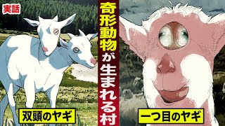 【実話】奇形動物が生まれる...呪われた村。頭が二つのヤギや...一つ目のヤギが出現。