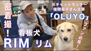 元チャット福岡晃子さん主宰「OLUYO」の看板犬・RIM（リム）に密着撮！