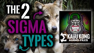 Which Type of Sigma Male Are You? | Powerful Sigma Male