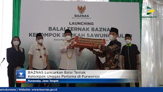 BAZNAS Luncurkan Balai Ternak Kelompok Unggas Pertama di Purworejo | BAZNAS News