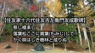 紅葉めぐり：県道４７号線(2024年11月30日)