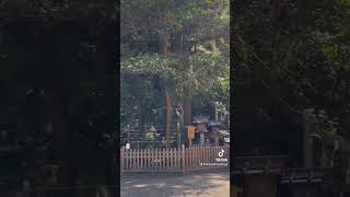 日本で最も古い歴史のある神社【奈良県桜井市】