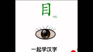 学汉字---目#学汉语#练习普通话#learnchinese #每天进步一点点