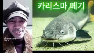 군산경암동 철길마을- 30년전통 명품통닭#멕시칸치킨-더옛날통닭👍