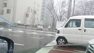 都内某所 雪がめっちゃ降り始めた。2018年1月22日