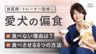【愛犬がごはんを食べてくれない・・】子犬や老犬がごはんを食べない偏食や少食の原因と食べさせる8つの方法を獣医師が解説（犬の手作りごはん / フレッシュドッグフード）
