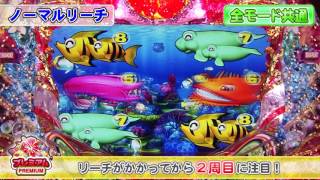 沖海４演出動画「ノーマルリーチがかかってから２周目に注目！」