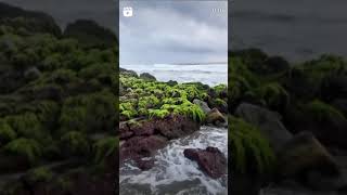 Black Sand Beach in India