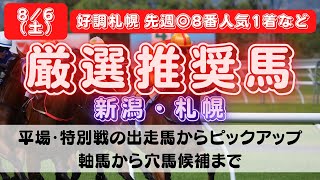 【中央競馬予想】8月6日(土)平場・特別レースの注目推奨馬ピックアップ