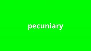 what is the meaning of pecuniary