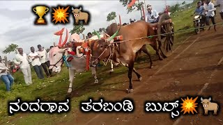 ನಂದಗಾವ ತರಬಂಡಿ ಪುಲ್💥🐂//𝐔𝐭𝐭𝐚𝐫 𝐊𝐚𝐫𝐧𝐚𝐭𝐚𝐤𝐚 𝐓𝐚𝐫𝐚𝐛𝐚𝐧𝐝𝐢 𝐁𝐮𝐥𝐥'𝐬🦁🏆// 𝐓𝐚𝐫𝐚𝐛𝐚𝐧𝐝𝐢 𝐛𝐮𝐥𝐥'𝐬🚩🚩