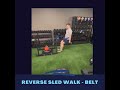 Reverse sled walk - Belt Attachement