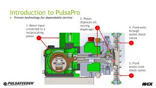 PulsaPro Diaphragm Pumps   Innovation and Value