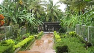 Wayanad - Best Places to visit