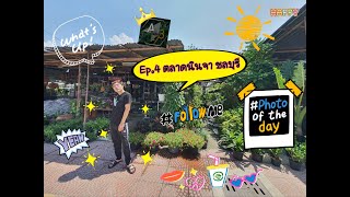 Ep.4 ตลาดต้นไม้แยกนินจา ชลบุรี l ร้านธรรมดา ที่ไม่ธรรมดา l