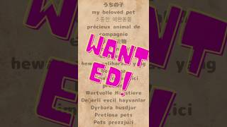 【羊毛フェルト】うちの子を探せ！Look for my beloved  pet. 【wanted】　#handmade #diy #羊毛フェルト #dog #cat #cute  #大切な家族