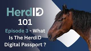 Digital Horse Passports