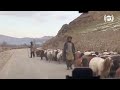 تصاویر زیبا از روستای پیکان دره، ولسوالی شولگره ولایت بلخ