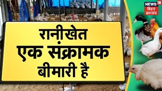 Ranikhet Disease: मुर्गियों की घातक बीमारियों में से एक है रानीखेत, मुर्गीफार्म को कर सकती है तबाह