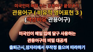 기본영어회화 (비유적 영어표현 3 / 색상관련 비유영어문장) 미국인이 매일 입에 달고 사용하는 영어의 비유적 표현 / 실전영어회화