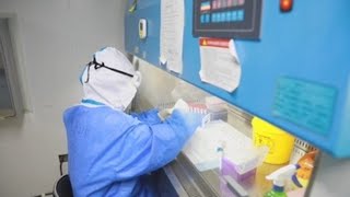 El fin de la pandemia "ni siquiera está cerca", afirma la OMS