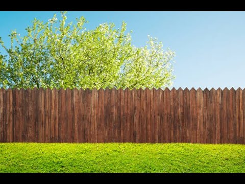 Shared Post Parshat Nasso Building A Fence Around The Torah