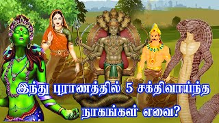 இந்து புராணங்களில் 5 சக்திவாய்ந்த  நாகங்கள் எவை ?  5 most  powerful nagas in Hindu mythology?