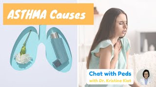 What Causes Asthma attacks? | Chat with Pets | Dr. Kristine Alba Kiat