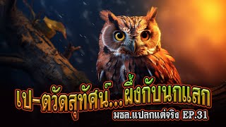 แปลกแต่จริง มชล.EP.31 เป-ตวัดสุทัศน์...ผึ้งกับนกแสก