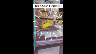 【クレーンゲーム攻略】namcoスタッフ直伝！狙いどころとは👀✨ ＃Shorts #ゲーセン