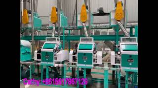 30tpd maize/corn milling production line