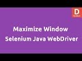 Maximize Browser Windows using Selenium Java