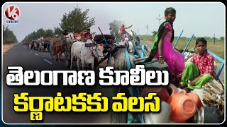 Tribals Migrations From Narayankhed To Karnataka For Sugarcane Cutting  | Sanga Reddy | V6 News