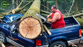 Idiots With Chainsaws: Tree Cutting Fails | Extreme Dangerous Logging Truck Fails #60