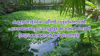 കുളത്തിലെ മീൻ വളർത്തൽ ശ്രദ്ധിക്കേണ്ട കാര്യങ്ങൾ#Natural pond fish farming #farmingandtravel