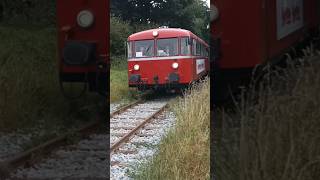 Da werden alte Erinnerungen wach😄🤩 Zwei Uerdinger Schienenbusse bei Kappeln.