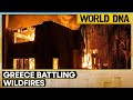 Greece battling wildfires amid high winds, deploys army to contain blaze | WION World DNA