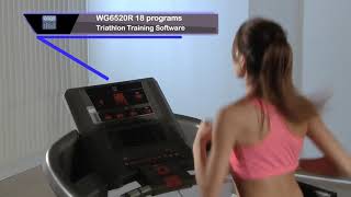 Flair Fitness BH F9R Treadmill