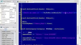 Delphi Programming Tutorial #53 - Field Access