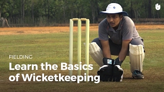 Learn the Basics of Wicketkeeping | Cricket