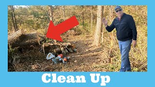 Storm Tree Cleanup