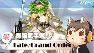 【懶貓】本喵瘋FGO - 每天五個愛心按好按滿 你就可以拿格琳娜的造型啦 2017/05/11