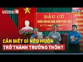 Trưởng Thôn, Tổ Trưởng Dân Phố Tiêu Chuẩn Bầu, Mức Phụ Cấp | LuatVietnam