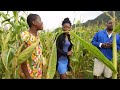 mukwasha vhomorayi zvenyu
