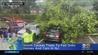 Storm Topples Trees In Ridgewood, New Jersey