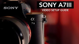 Sony a7iii Video Setup Guide (Full Beginner's Walkthrough)